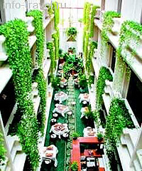 ��� ����� - ���������